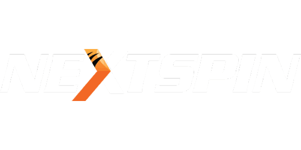 NS-COLOR গেমিং logo